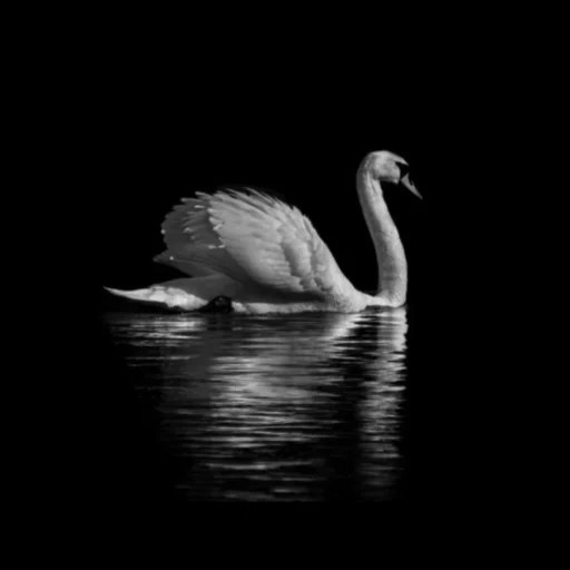 Level 3 Photography & Film