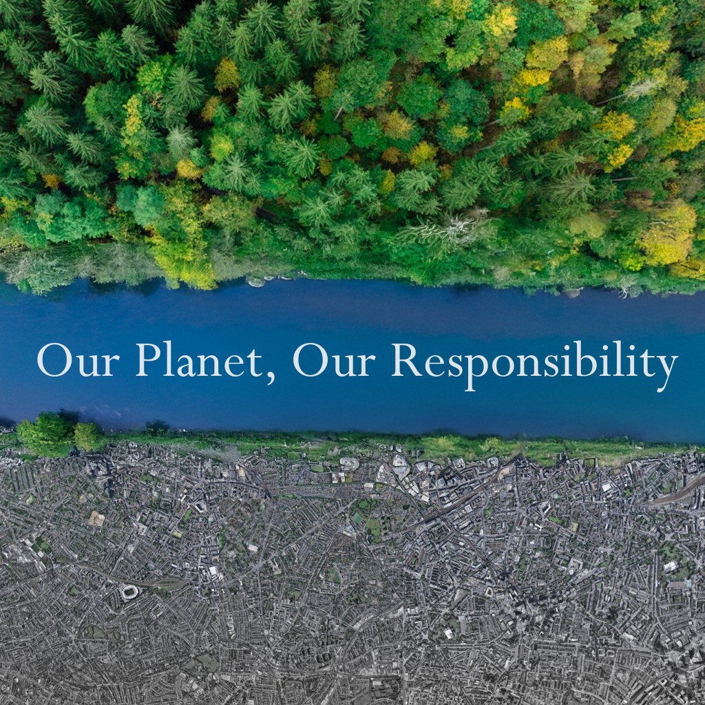 Project 2 –&nbsp;Review